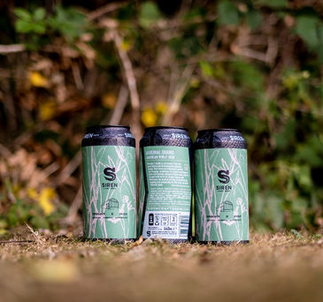 Marginal Grains - A Foraged Herb American Wheat Beer