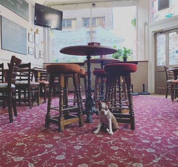 Stories Behind the Stats: The Sutton Arms