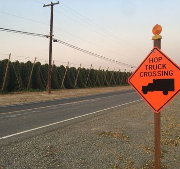 Home From Home - Road Trippin' in Washington State