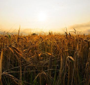 Lorem ipsum dolor sit amet news article image