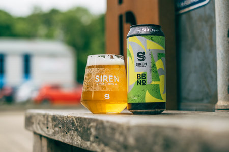Take Nothing for Granted West Coast IPA | 6.2% | 440ml - Siren